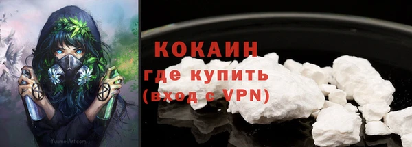 apvp Гусь-Хрустальный