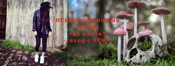 винт Горно-Алтайск