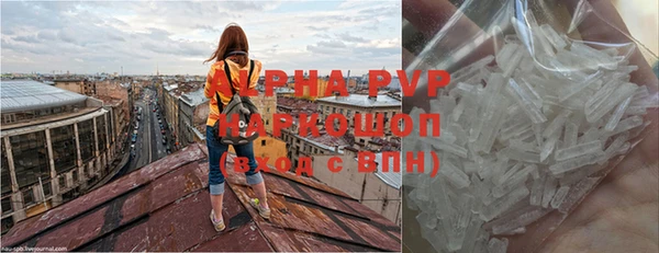 ПСИЛОЦИБИНОВЫЕ ГРИБЫ Горнозаводск