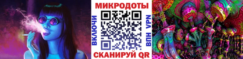 Псилоцибиновые грибы Psilocybe Обоянь